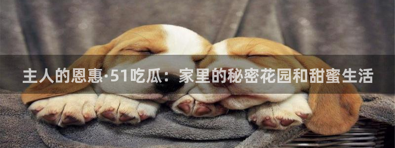 主人的恩惠·51吃瓜：家里的秘密花园和甜蜜生活